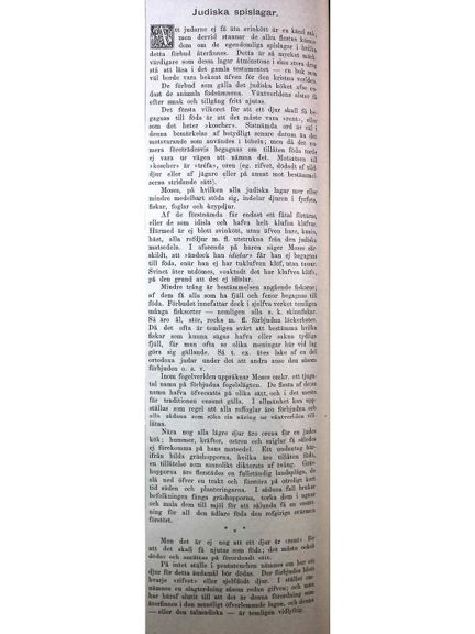 "Judiska spislagar" - text från Ny Illustrerad Tidning 1882
