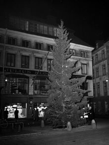 Järntorget. Julgranen rest