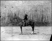 En överkonstapel till häst