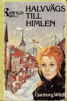 Halvvägs till himlen / Gunborg Wildh