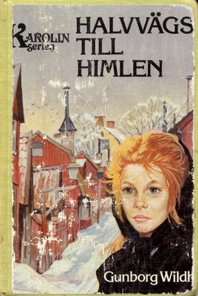 Omslagsbild Halvvägs till himlen