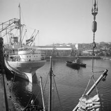 Frihamnen. Lastning och lossning