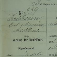Arbetskarlen Carl Magnus Eriksson, 73, varnad för lösdriveri 29 maj 1891 - polisförhör