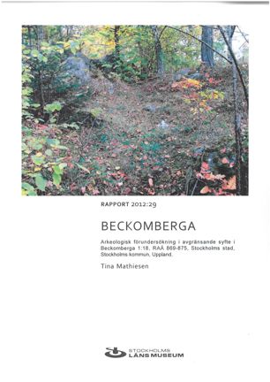 Framsida av arkeologisk rapport 2012:29