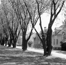 Sockenvägen, Gamla Enskede