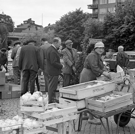 En kvinna lyfter upp en stor trälåda. Intill står en dragvagn med trälådor och nedanför dessa är flera trälådor staplade på varandra. Kvinnan tittar in i kameran. I bakgrunden flera män som står och tittar på utbudet. En man ser ut att vara på väg att köpa en större växt, eventuellt en trädplanta. 