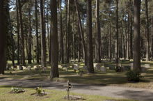 Skogskyrkogården Begravningsplatsen