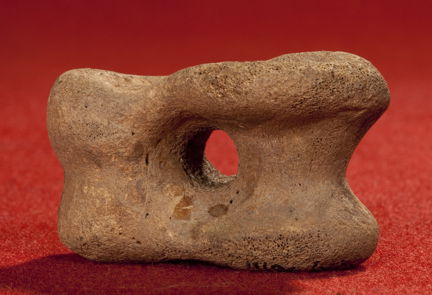 Astragal, medeltida Kasta gris