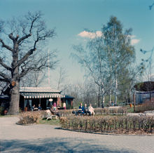Serveringen vid Borgen på Gärdet