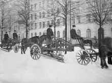 Snöplogning efter häst på Narvavägen