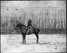 En konstapel till häst