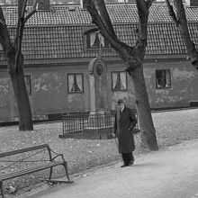 Författaren Bo Bergman på Klara kyrkogård