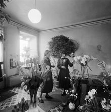 Thufvesons Blomsterhandel, Götgatan 16