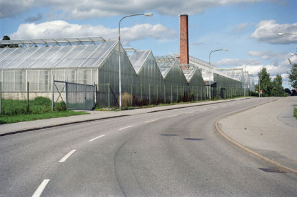 En rad växthus. En hög skorsten i tegel i bakgrunden.