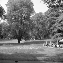 Humlegården. Uteservering