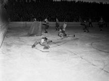 Stadion. Ishockeymatch mellan Hammarby och Djurgården