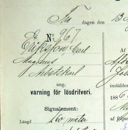 En bild från polisförhöret, ett ifyllt tryckt formulär.