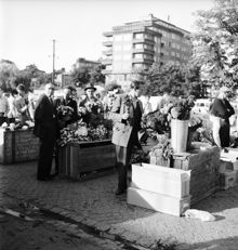 Grönsaksförsäljning på Klaratorget  år 1951