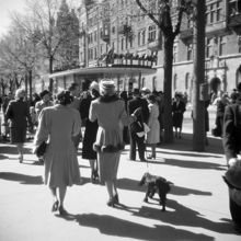 Strandvägen vid Djurgårdsbron
