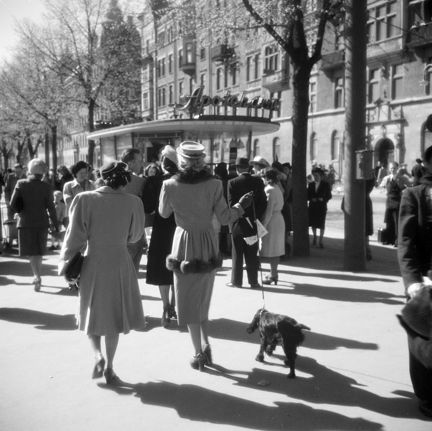 Två kvinnor promenerar i solsken. Båda ser ut att ha välskräddade kläder. Den ena en figursydd kappa, den andra en tvådelad dräkt med kjol och kavaj. Den senare kvinnan håller i ett koppel med en mellanstor hund. I bakgrunden syns en liten kiosk med oval form på taket. Bakom den syns stora och pampiga hus av sten.