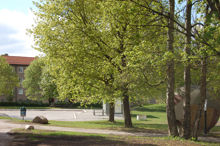 Plaskdamm i Hökarängen