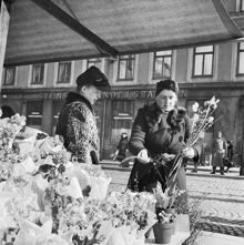 Östermalmstorg. En kvinna i leopardmönstrad päls handlar blommor på torget