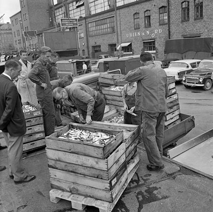 Utanför en stor tegelbyggnad står bilar parkerade. På andra sidan gatan, nära i bild, står trälådor fulla med fisk (strömming) staplade. Åtta män arbetar med lasten eller funderar på att köpa av den.