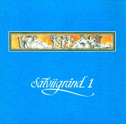 Omslag Salviigränd 1