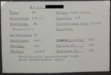 Beskrivning av 18 åriga Hans ansiktsform, hårfärg, huvudmått mm – skolarbete 1938-1939