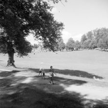 Hagaparken vid Koppartälten