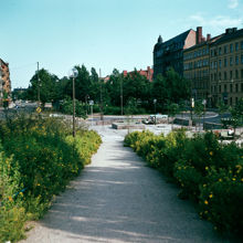 Plantering vid kv. Körsbärsbladet. Valhallavägen österut