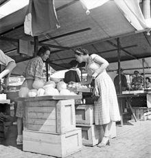 Grönsaksförsäljning på Klaratorget  år 1951