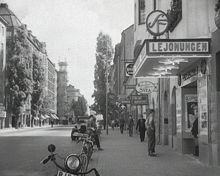 Biografen Lejonungen