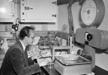 Experimentalfältet. Statens Skogsforskningsinstitut. Franz Neuschel gör torrvolymbestämningar i trälaboratoriet