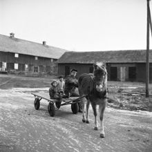 Ågesta Gård. Godsarrendatorn Bo Krusenstierna med barnen Fredrik och Julie och hästen Laila lämnar gården för utflykt mot berget där Atomverket ska byggas