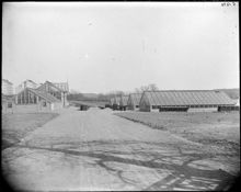 Stadens trädgård vid Götgatan österut