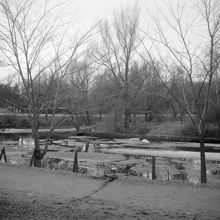 Motiv från Djurgården vid Framnäs