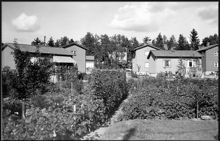 Svedmyra småstugeområde med del av kvarteret Dombrevet