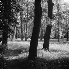 Motiv från Djurgården