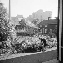 Arbetarbostäder vid Tanto Sockerbruk
