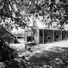 Enskede Gård. Det nedbrunna stallet. (F.d. oxhuset, byggt på 1830-40 talet)