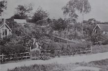 Eriksdalslunden 1915