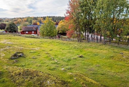 Stenar i gräs, uppifrån