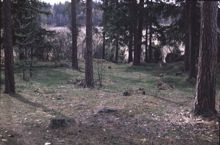 Stensättning, anläggning nummer 2, Spånga RAÄ 135:1 i Akalla.