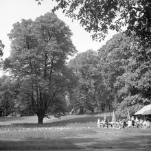 Humlegården. Uteservering