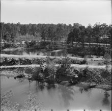 Ödledammarna i Globenområdet 1951