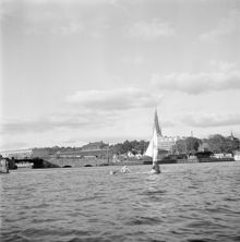 Riddarfjärden, mot Stadshusbron och Klara Mälarstrand. Sjöscouternas seglingstävling