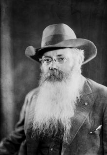 Porträtt av Olsson, riksdagsman