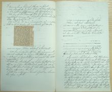 F.d. kanslisten Johan Alfred Menell, 44, häktad för lösdriveri den 2 juli 1887 – förhörsprotokoll