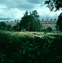 Parkmiljö i sydöstra delen av Stadshagen (nuv. St. Göransparken). Vy åt nordost